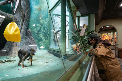 Mikhail Kirakosyan - The Moscow Zoo: Lockdown
